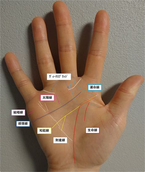 The site owner hides the web page description. 【手相公開鑑定】40歳女性まきんこさん~主人の女遊びが発覚 ...