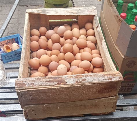 Jun 23, 2021 · baca juga: Harga Telur di Jombang Merangkak Naik | Kabar Jombang