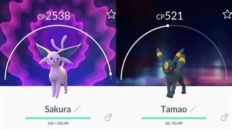 Just give it the right amount of eevee candies and it will evolve. How To Evolve Eevee Into Espeon And Umbreon In Pokemon GO