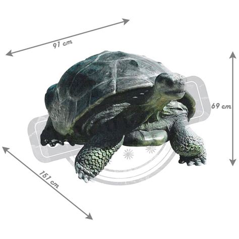 Maybe you would like to learn more about one of these? Position Tortue Table Basse : L Union De La Tortue ...