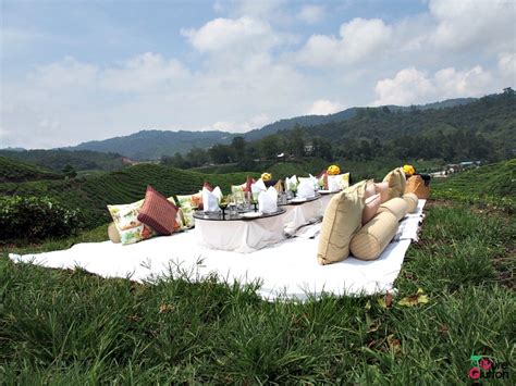 Cameron golden hills resort is located in tanah rata. CAMERON HIGHLANDS RESORT: PICNIC IN THE HILLS - PureGlutton