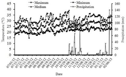 Plants for future experiments, all blue javas: PRODUCTION, DECOMPOSITION AND CHEMICAL CHARACTERISTICS OF ...