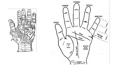 The guide of shadows for wiccans, solitary. Bucklands Complete Book Of Witchcraft | Palmistry, Fairy ...