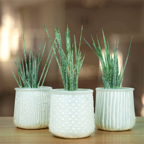 And if you need help choosing a white that works with your existing colors or creating a color palette from scratch, you need to read my how to choose a whole. Painted Plant Jars | White jar, Puffy paint, Simply spray