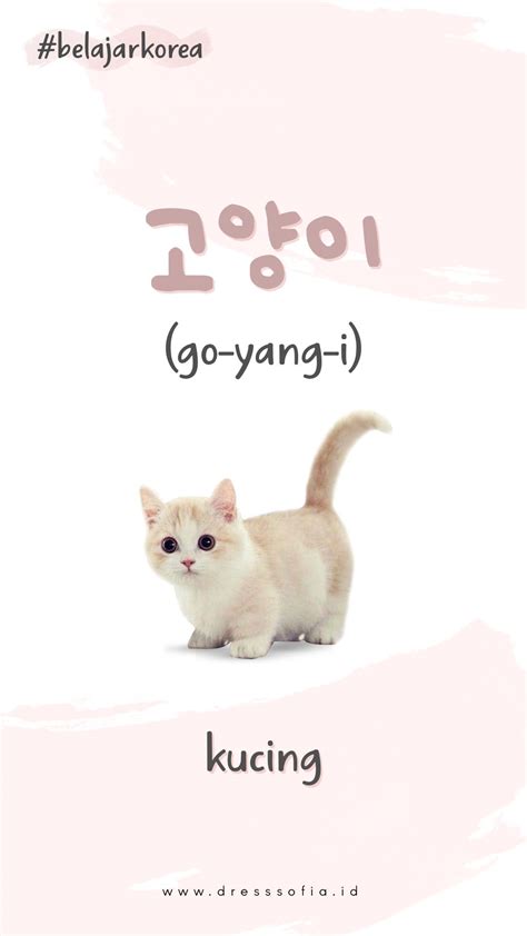 By anggaposted on november 28, 2020. Nama Kucing Lucu Korea - Apa Bagaimana