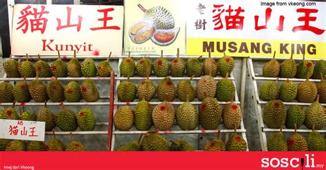 Jangan sampai puasa makan ya! Kenapa harga durian mahal sangat sekarang ni? | SOSCILI