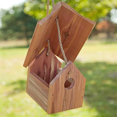 Almost any kind of receptacle may offer an acceptable nesting site. Perky Pet Wren Bird House