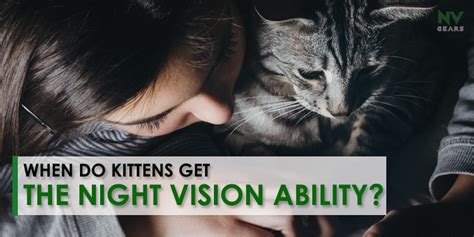 11 do cats need blankets? When Do Kittens Get The Night Vision Ability? - Night ...