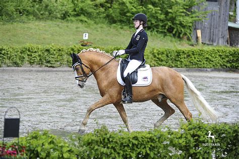 Deze kingsley prix werd een teamcompetitie waarbij shona benner het individueel klassement leidde. Olfen: Coer Noble vor Herzkönig NRW und Glück Auf A