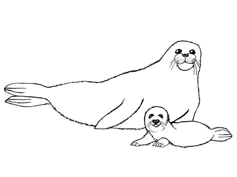 Bloomin, coloring, download, harbor, harbor seal, ocean. Seal Coloring Pages - Best Coloring Pages For Kids