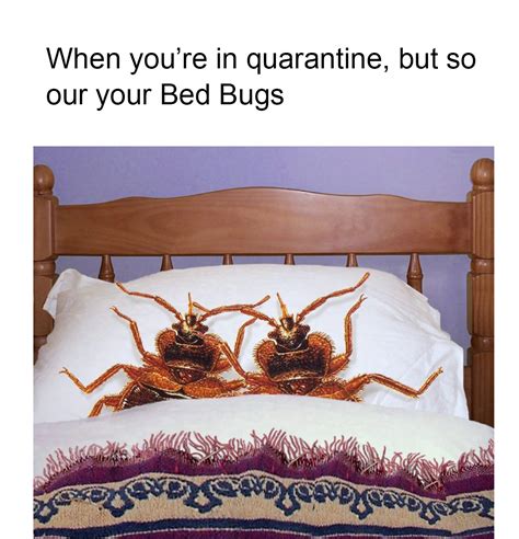 See more of allguard termite and pest control on facebook. Millennium Termite & Pest can take care of all your pest ...