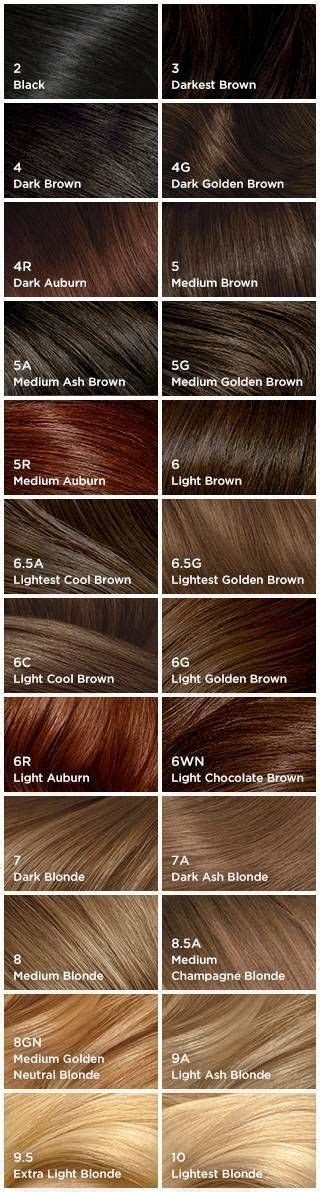 Do not use on hair previously dyed darker than level 5 medium brown or on hair naturally lighter than level 8. Pin by Mary Kuckelkorn on Haircuts & Hairstyles | Hair ...