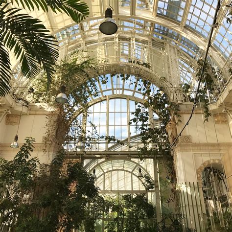 We'll contact you when the order's on the way and leave your potted garden at a secure location, thus preventing any mishaps from damaging your arrangement. Palmenhaus Vienna | Indoor garden, Buy flowers online, Buy ...