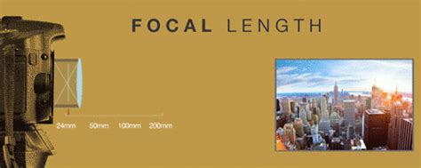Focal length is important to understand, particularly if you're shooting with a dslr camera. Understanding Lenses: What is Focal Length? - The Beat: A ...