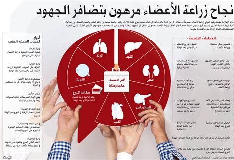 عادةً كنت لتتحدث معي عن التبرع بالأعضاء. زراعة الأعضاء طوق نجاة لآلاف المرضى.. و4 مقومــات تؤهل ...