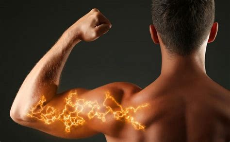 Studies show that carnosine acts as a buffer to prevent muscle cells from becoming acidic, thereby decreasing muscle fatigue during exercise. Pre-Workout Supplements: 6 Side Effects and How To Avoid ...