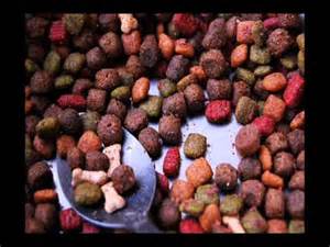 This kibble is not only low in fat, it's also low in calories. Low Protein Dog Food - An Easy Healthy Homemade Dog Food ...