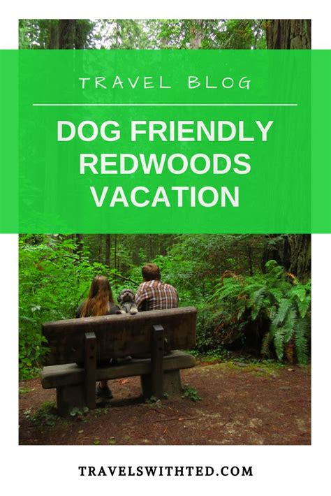 For all cabin and campground reservations and questions goto reserve california. Dog Friendly Redwoods Activities: A Complete Guide in 2020 ...