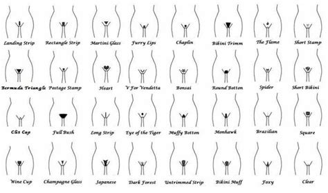 It's dedicated to women with trimmed pubic hair. What Guys Really Think About Women's Pubic Hair... It's Not What You Think. | Art Collection ...