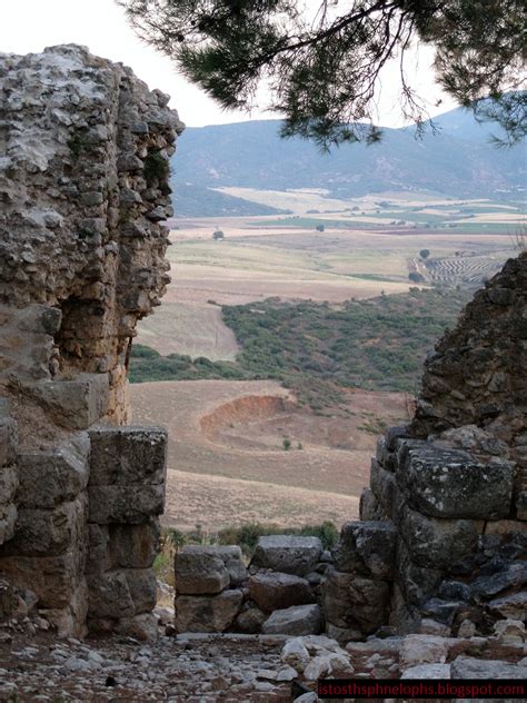 Κατέκτησε το χρυσό μετάλλιο στους κρίκους του παγκόσμιου πρωταθλήματος, ενώ ήταν και ο χρυσός νικητής του. Ιστός της Πηνελόπης: ΑΚΡΟΠΟΛΗ ΦΑΡΣΑΛΩΝ -ΤΑΜΠΑΚΟΣ ΤΩΝ ΦΑΡΣΑΛΩΝ