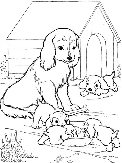 Print out this coloring sheet on construction paper these free printable puppy dog pals coloring pages will definitely refresh you after a long day at school. Mother and baby anilmals coloring book pdf