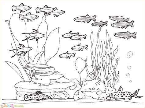 Mewarnai pemandangan bawah laut contoh gambar mewarnai. Gambar Mewarnai Ekosistem Laut - Oprek viomagz 2.8.0