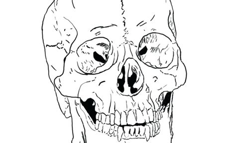 The skeleton can't and permanent; Skeleton Coloring Pages Anatomy at GetColorings.com | Free ...