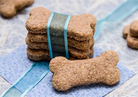 They do get healthy homemade reward treats for good behavior. Diy Low Calorie Dog Treats : Amazon Com Nulo Puppy Adult ...