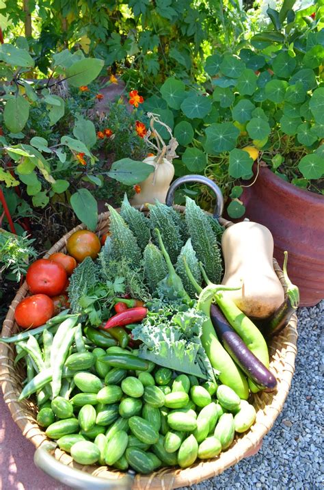 Design is an important part of a potager. Entertaining From an Ethnic Indian Kitchen: Garden Journal ...