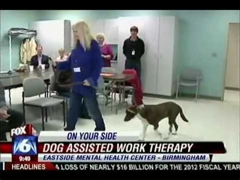 Keeping pets healthy keeps people healthy too! Dog Therapy for Mental Illness - YouTube