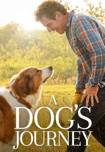 Can a movie have violent parts. A Dog's Journey - Movies on Google Play