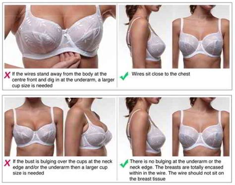 While finding a great fit does come down to trial and error (they say you've got to kiss a lot of frogs), we gathered some intel that can help streamline the process. 70 - 80% Of Women Do Not Wear The Right Size Bra!