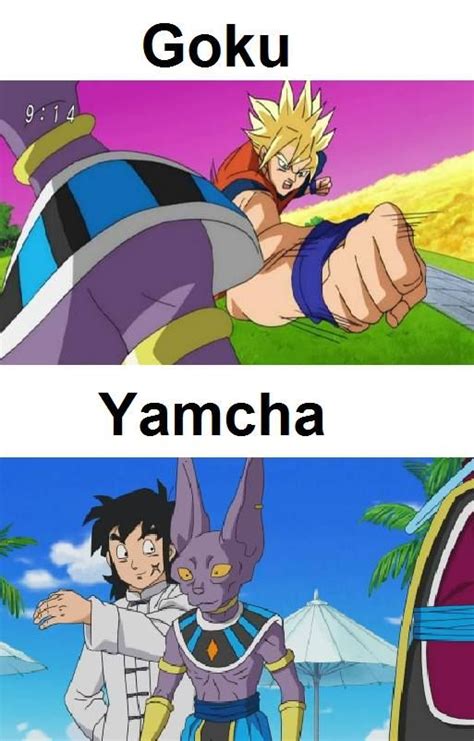 But then in dragon ball z, people humiliate him for dying to a saibamen. Deus Yamcha | Dragon ball artwork, Dbz memes, Funny gaming ...