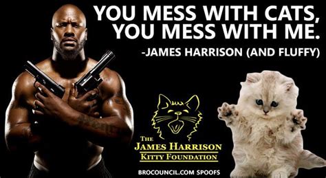 James harrison was born on july 1, 1891 in milwaukee, wisconsin, usa as james aldrich harrison. James Harrison Starts Cat Foundation | James harrison, Harrison, James