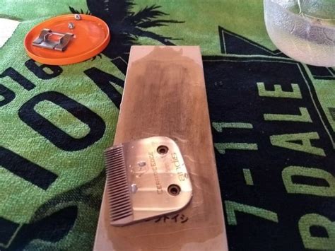 It's also important that it's of an extra fine grit. diy: sharpen your own clipper blades in 2020 | Clipper ...