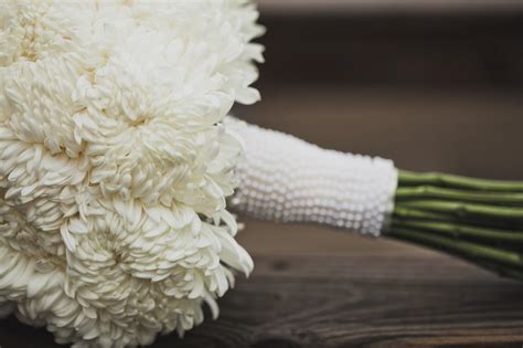 We did not find results for: Bouquet Glossary | WeddingDay Magazine