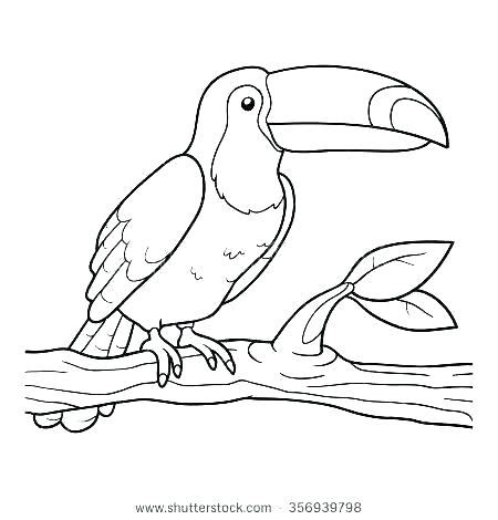 Use your mouse to color online the picture «toucan», or print out a black & white coloring sheet and color it with your crayons & paints! toucan coloring pages colors coloring pages printable ...