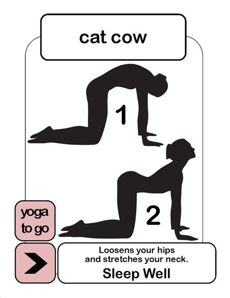 The sanskrit name of the cat pose, marjaiasana, comes from marjay meaning cat and asana meaning posture. Cat Cow pose. | Yoga for stress relief, How to relieve ...