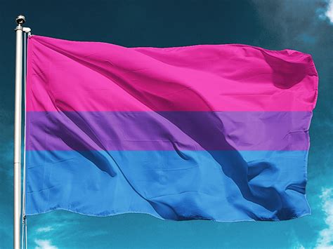 Bandera bisexual de 60 x 90cm fabricadas en tela de poliéster de 70 gramos por metro cuadrado con punto bloqueado que no. Bandera Bisexual Grande | Compra online en Tienda del ...