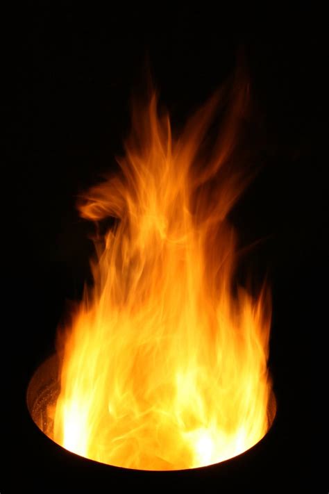 This post, we are going to talk about the free fire name style app. Free Fire Stock Photo - FreeImages.com