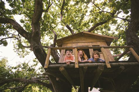 Ecco dove si trovano e come prenotarle per trascorrere una notte alternativa tra i rami e le foglie, con il cielo e le stelle a fare da romantica cornice. Casa sull'albero: come costruirla | UnaDonna