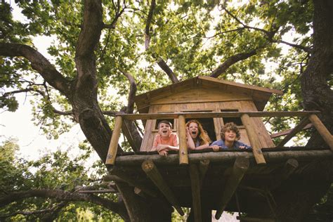 La casa sull'albero onlus, roma, lazio. Casa sull'albero: come costruirla | UnaDonna