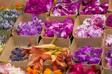 Too pretty to eat? Hardly. Our guide to edible flowers.