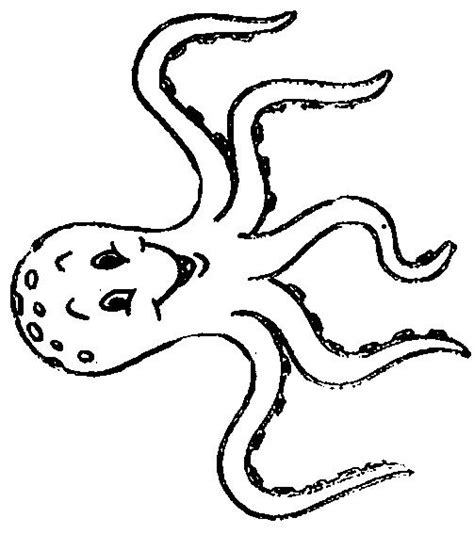 Imagini pentru planetele fise de colorat planet coloring pages space coloring pages star coloring pages. EDUCATIA CONTEAZA : CARACATITA