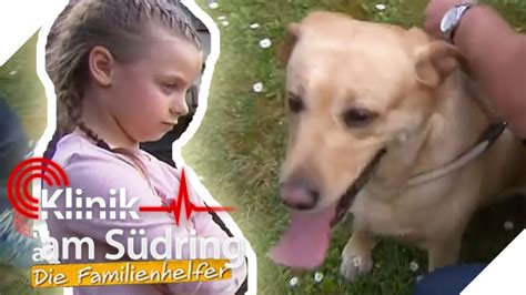 Kostenlos mit einem klick in der cloud aufzeichnen und anschließend zeitversetzt abrufen. Mia wird ihr Hund weggenommen! Wieso hasst Mama ihn? | Die ...