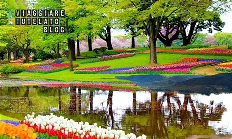 Un viaggio alla scoperta dei tulipani d'olanda non può terminare senza una visita in questo tempio della floricoltura, non lontano da amsterdam. Olanda: visita al Keukenhof Park, la casa dei tulipani ...
