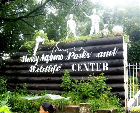 Ninoy aquino parks & wildlife is located before quezon memorial circle, so when you're on the big elliptical road it means you just went past the park. The Ninoy Aquino Parks and Wildlife Center - A City of New ...