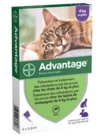 Advantage chat est efficace pendant un mois. ADVANTAGE 80 CHAT + DE 4 KG 4 PIPETTES