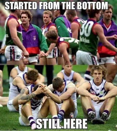 Make custom memes, add or upload photos with our modern meme generator! Fremantle Dockers still at the bottom (With images ...