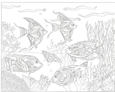 We have collected 19+ 11x17 coloring page images of various designs for you to color. Pin em Adult Coloring Pages to Save and Print